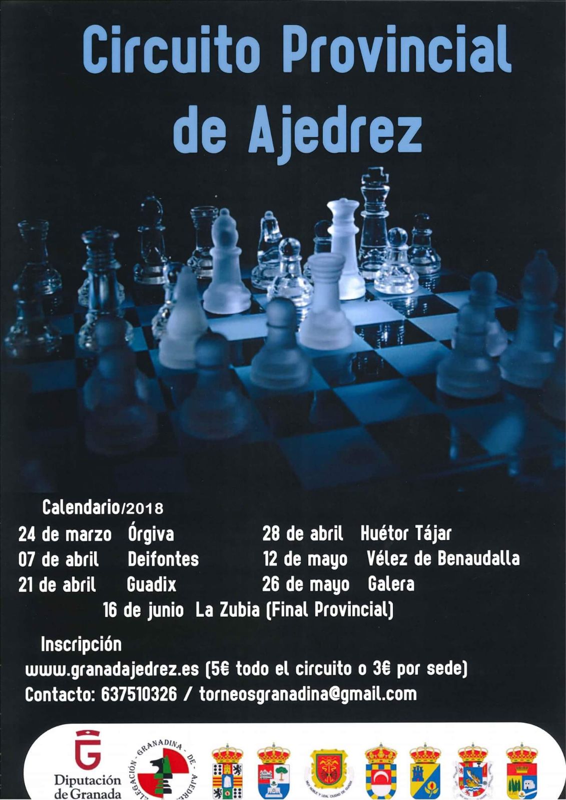 circuito provincial de ajedrez Guadix.jpg